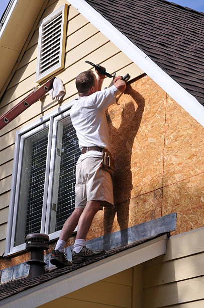 Best Insulated Siding Installation  in Nokesville, VA